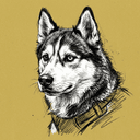Husky rescue dog illustration